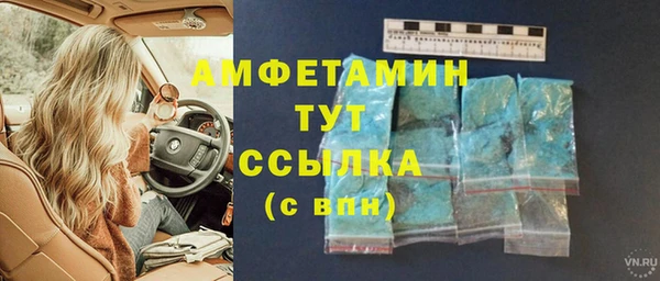 крисы Осташков