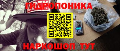 гидропоника Гатчина