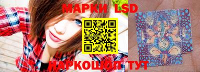 гидропоника Гатчина