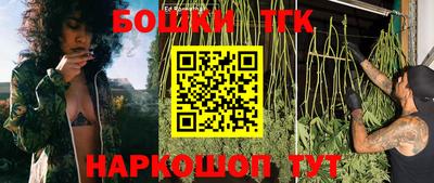 бошки Гагарин