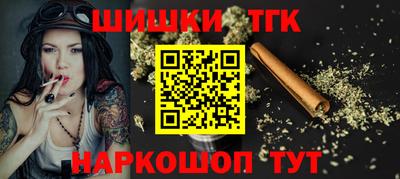 бошки Гагарин