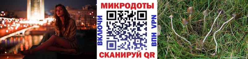 где найти   Похвистнево  блэк спрут   Галлюциногенные грибы MAGIC MUSHROOMS 