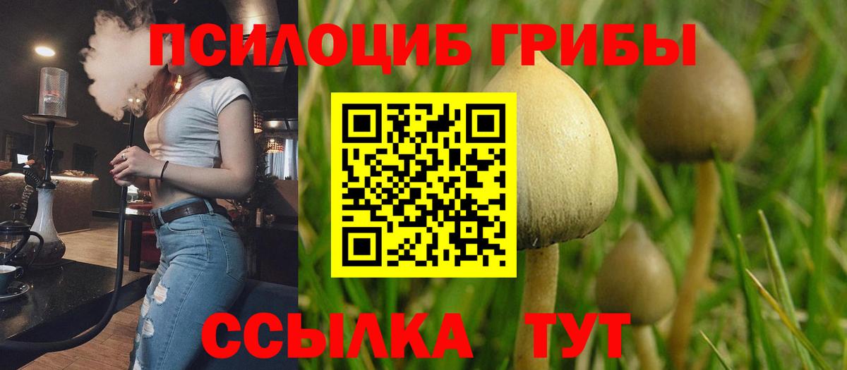 Галлюциногенные грибы прущие грибы  Псилоцибиновые грибы мицелий  Похвистнево  Вход с VPN 